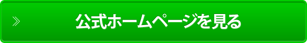 公式ホームページを見る